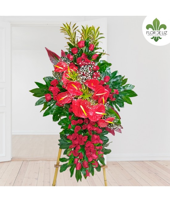 CRUZ ADIÓS PARA SIEMPRE